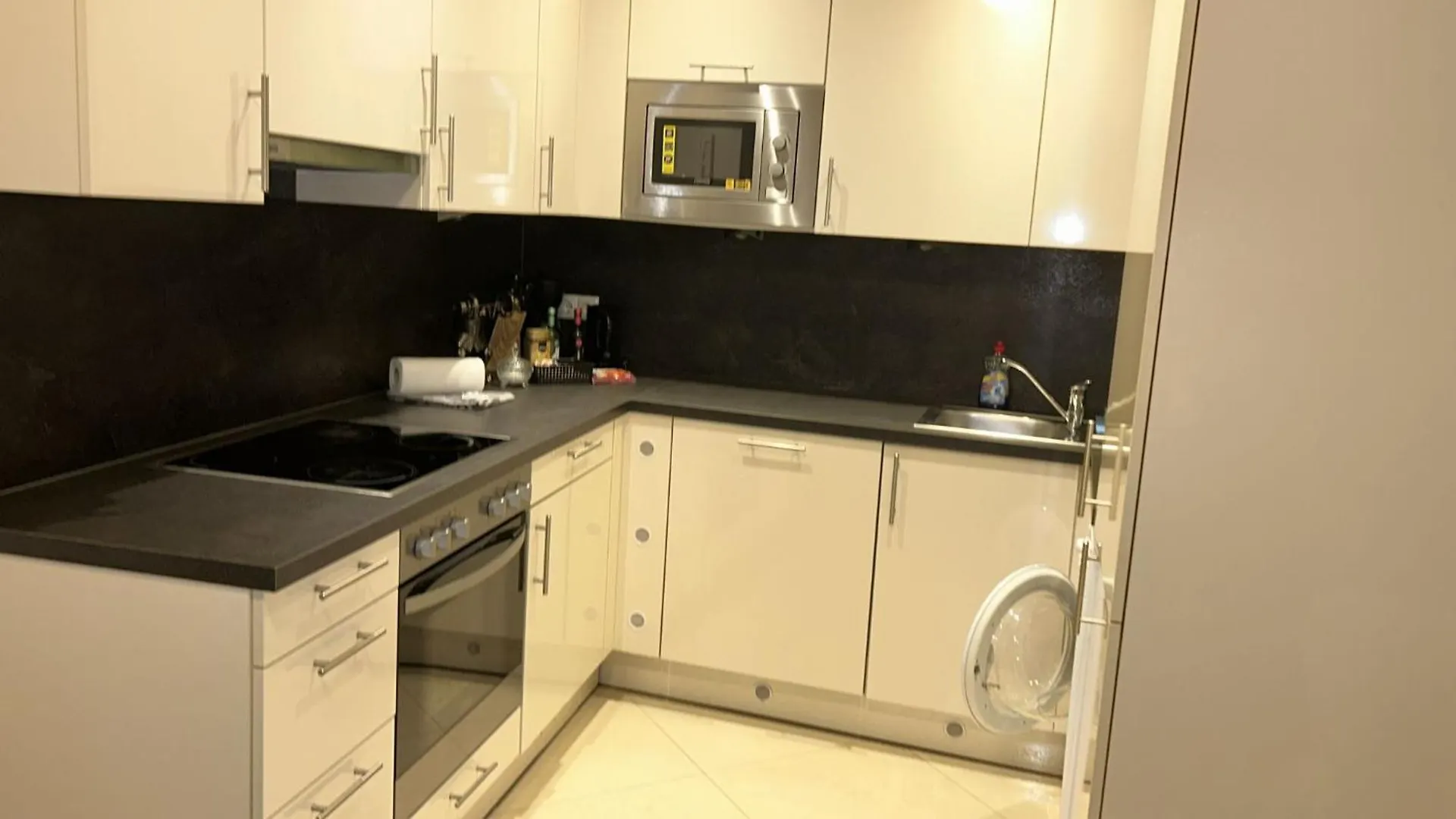 Gesamte Unterkunft Apartment In Wien, Oesterreich Austria