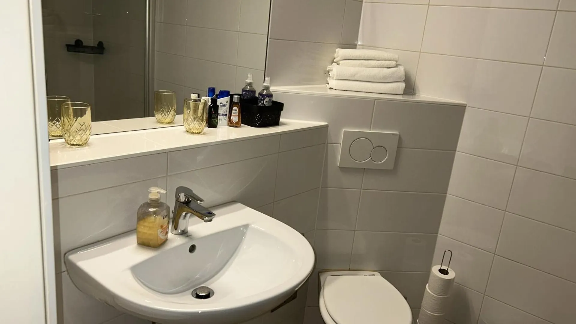 Gesamte Unterkunft Apartment In Wien, Oesterreich