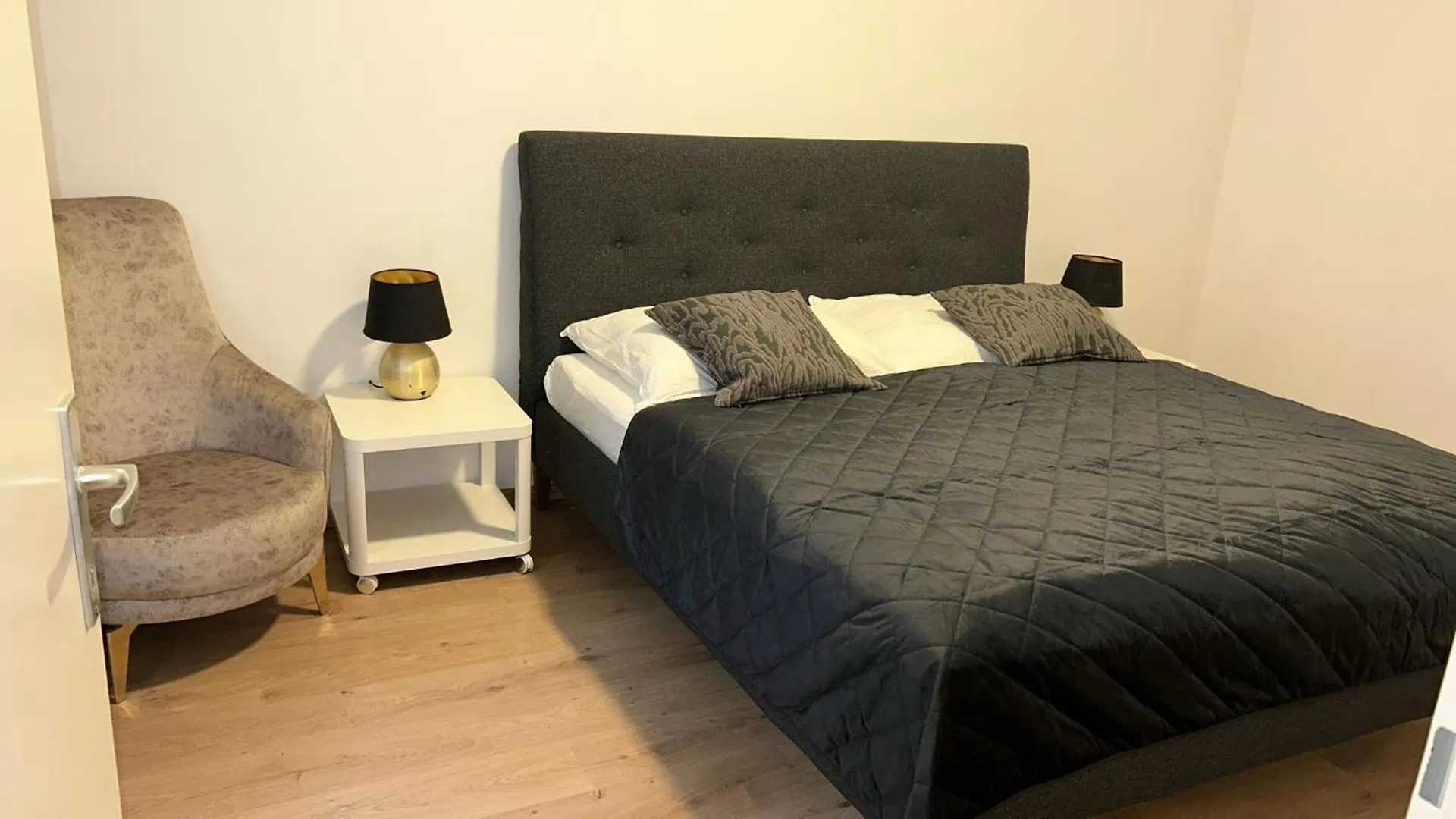 Gesamte Unterkunft Apartment In Wien, Oesterreich