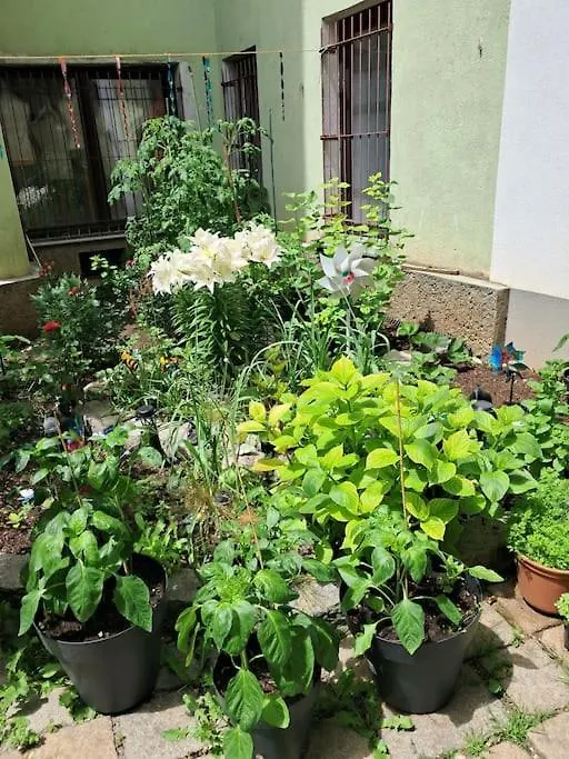 Gesamte Unterkunft Apartment In Wien, Oesterreich